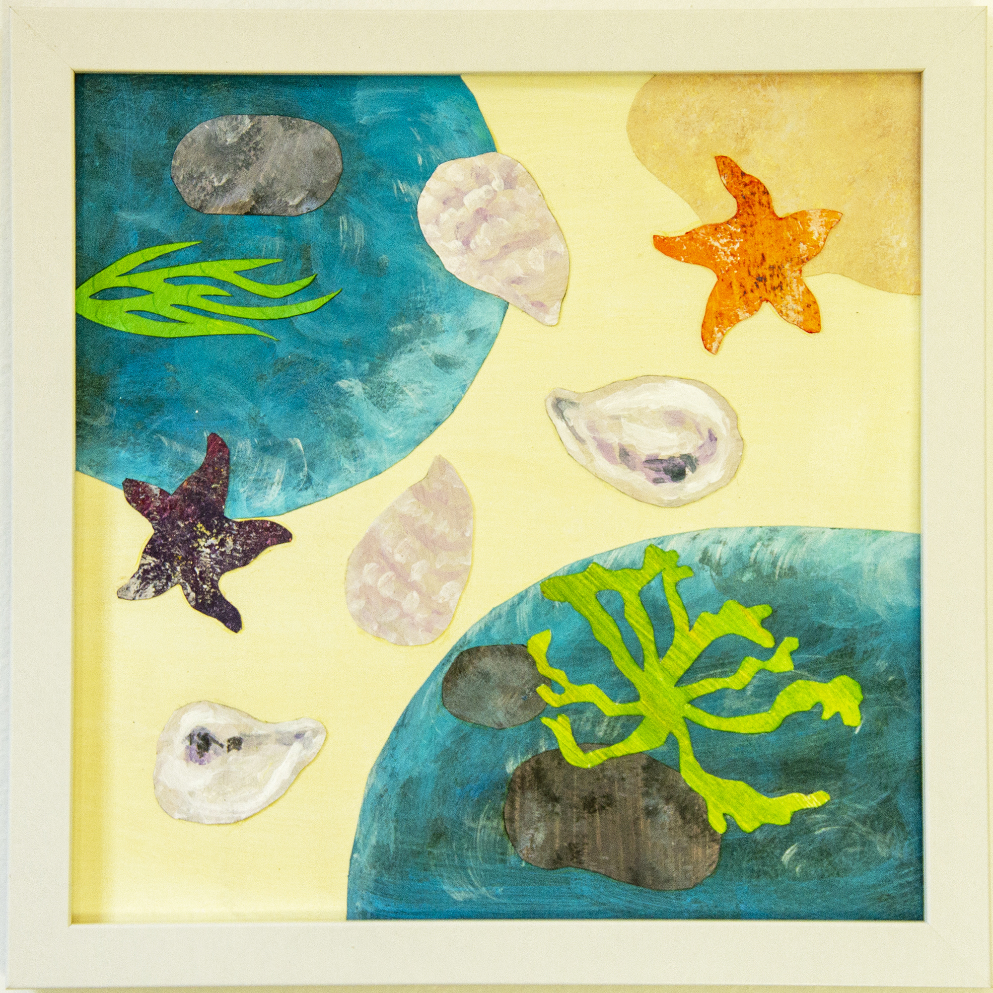 Framed tidepool collage